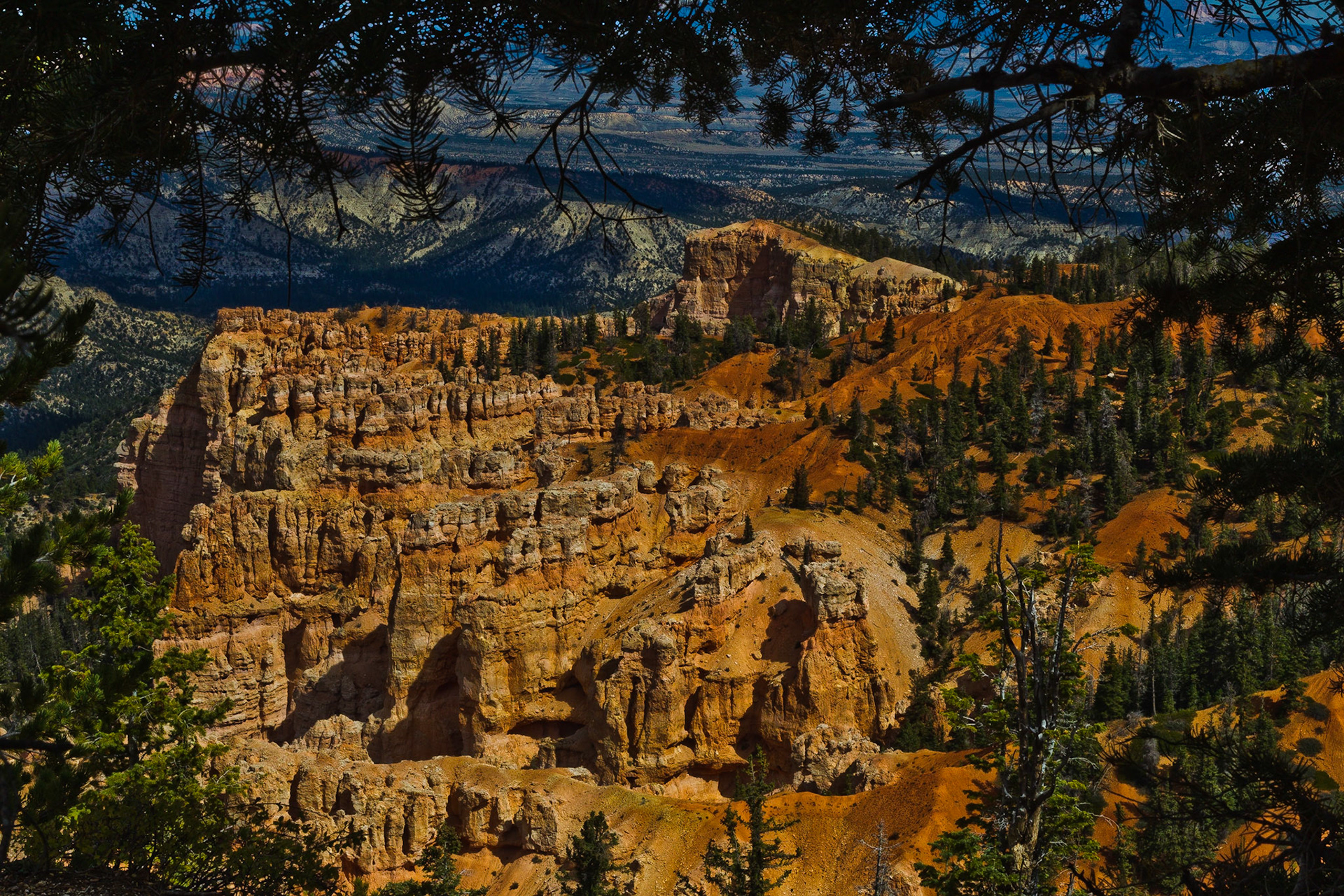 Bryce NP Utah