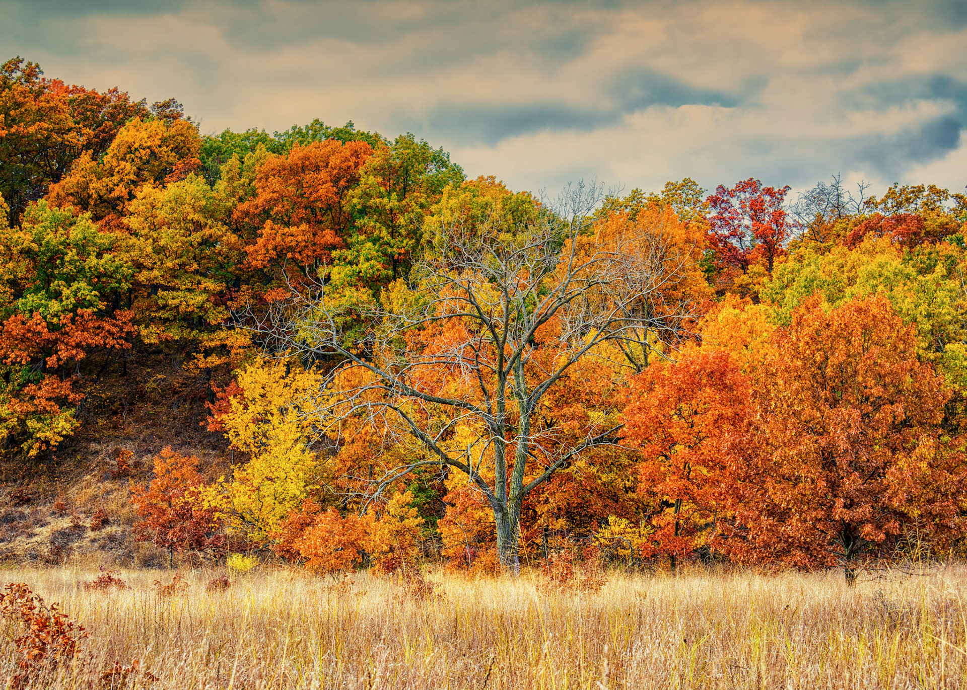 Autumn in Indiana Dunes National Lakeshore West Beach