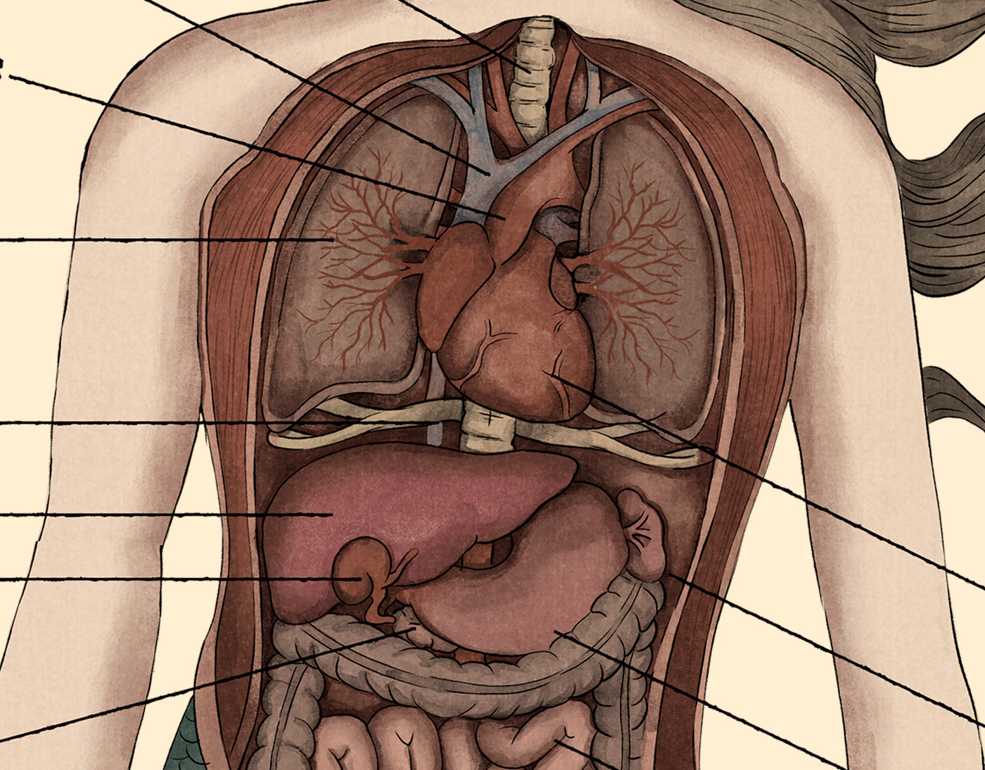 Thiago Corrêa - The Anatomy of a Gorgon