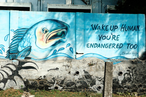 Environmental internationalism