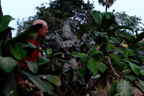sculpture garden