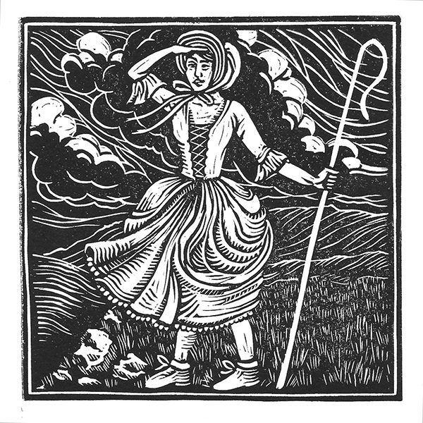 Sarah price a short history of the world according to sheep
