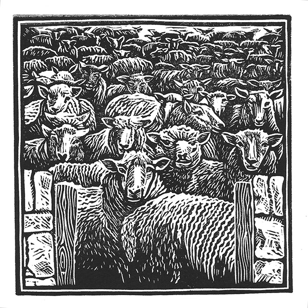 Sarah Price A Short History of the World According to Sheep