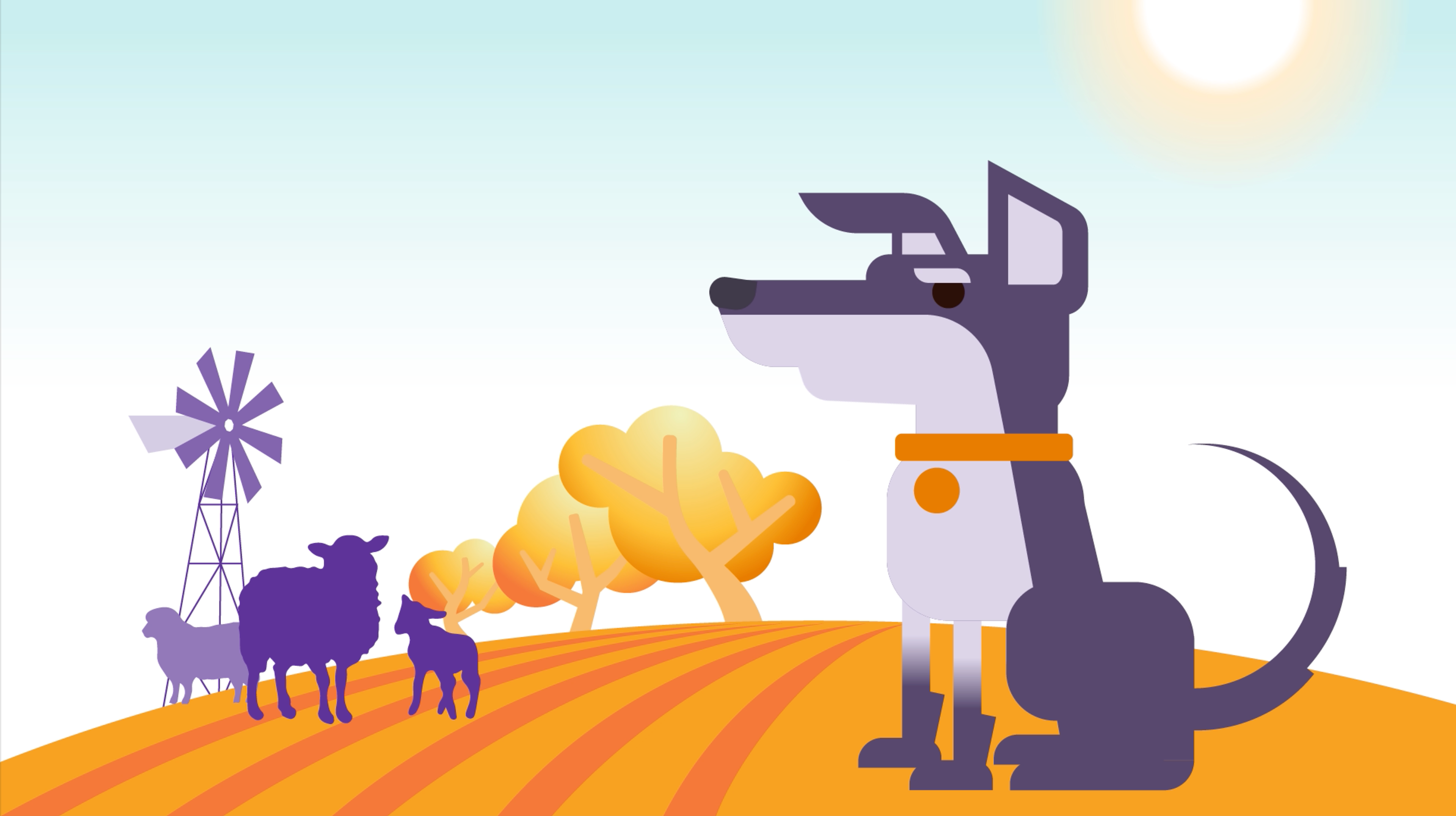 matter-pet-breeding-laws-animation
