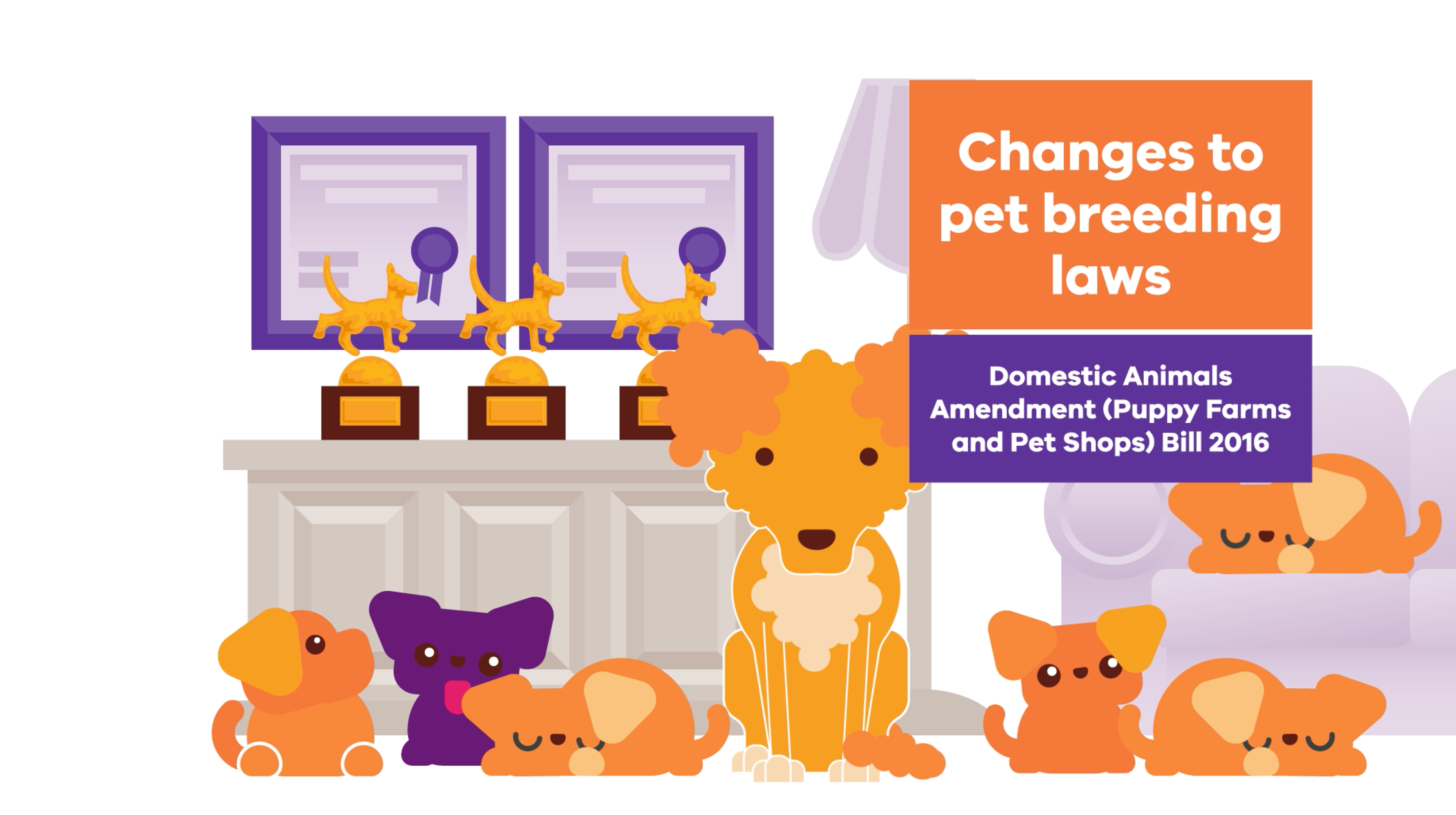 matter-pet-breeding-laws-animation