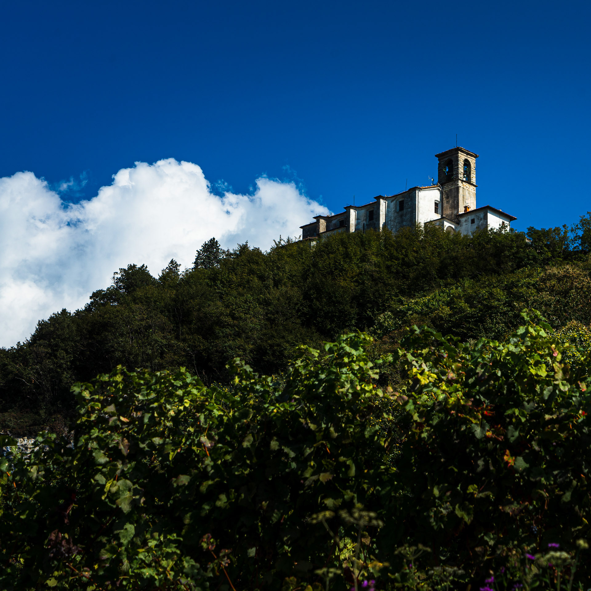 The climb to the church 'Santuario della Madonna della Ceriola' is steep, but also safe for older people and children.