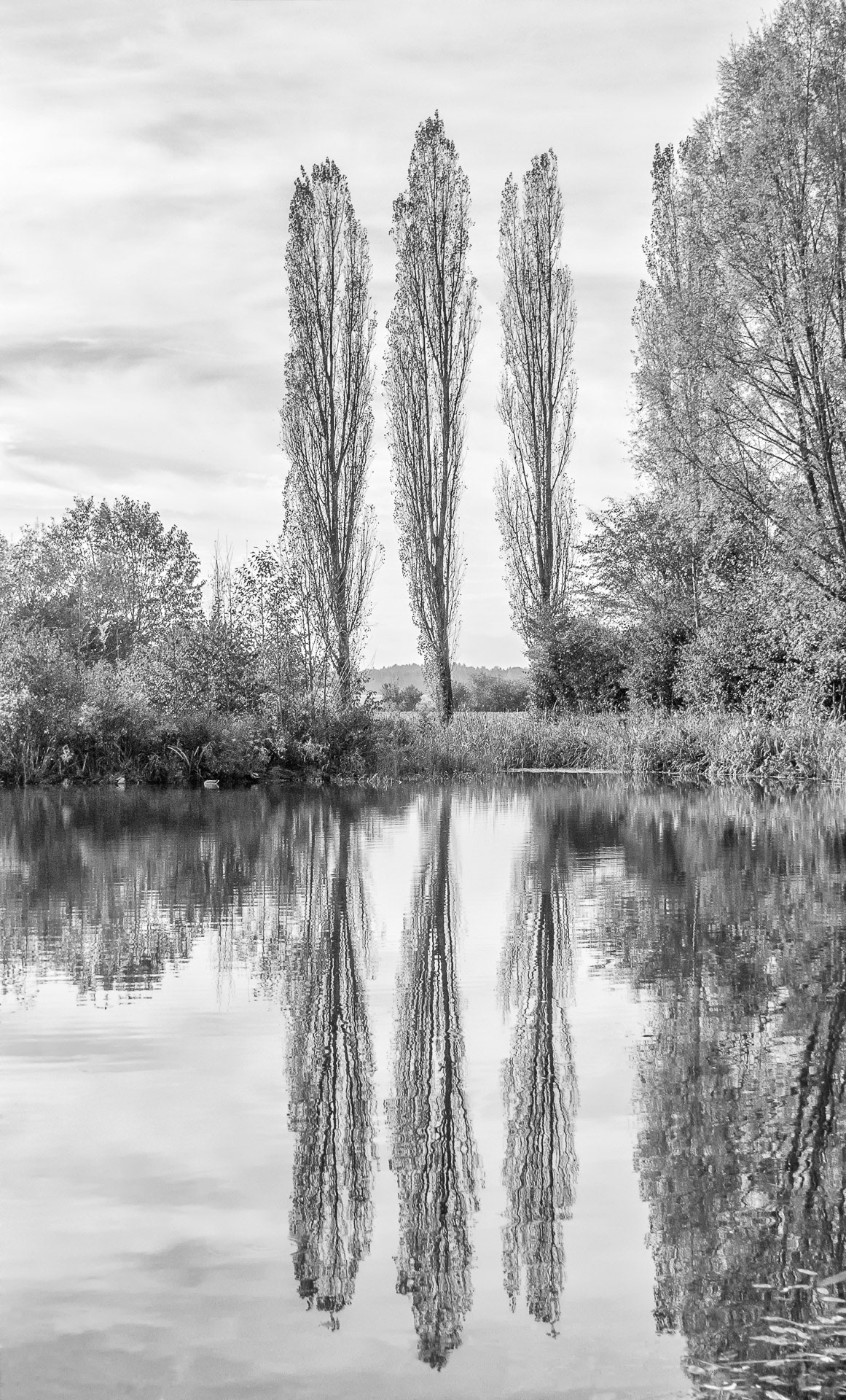 The Three Musketeers