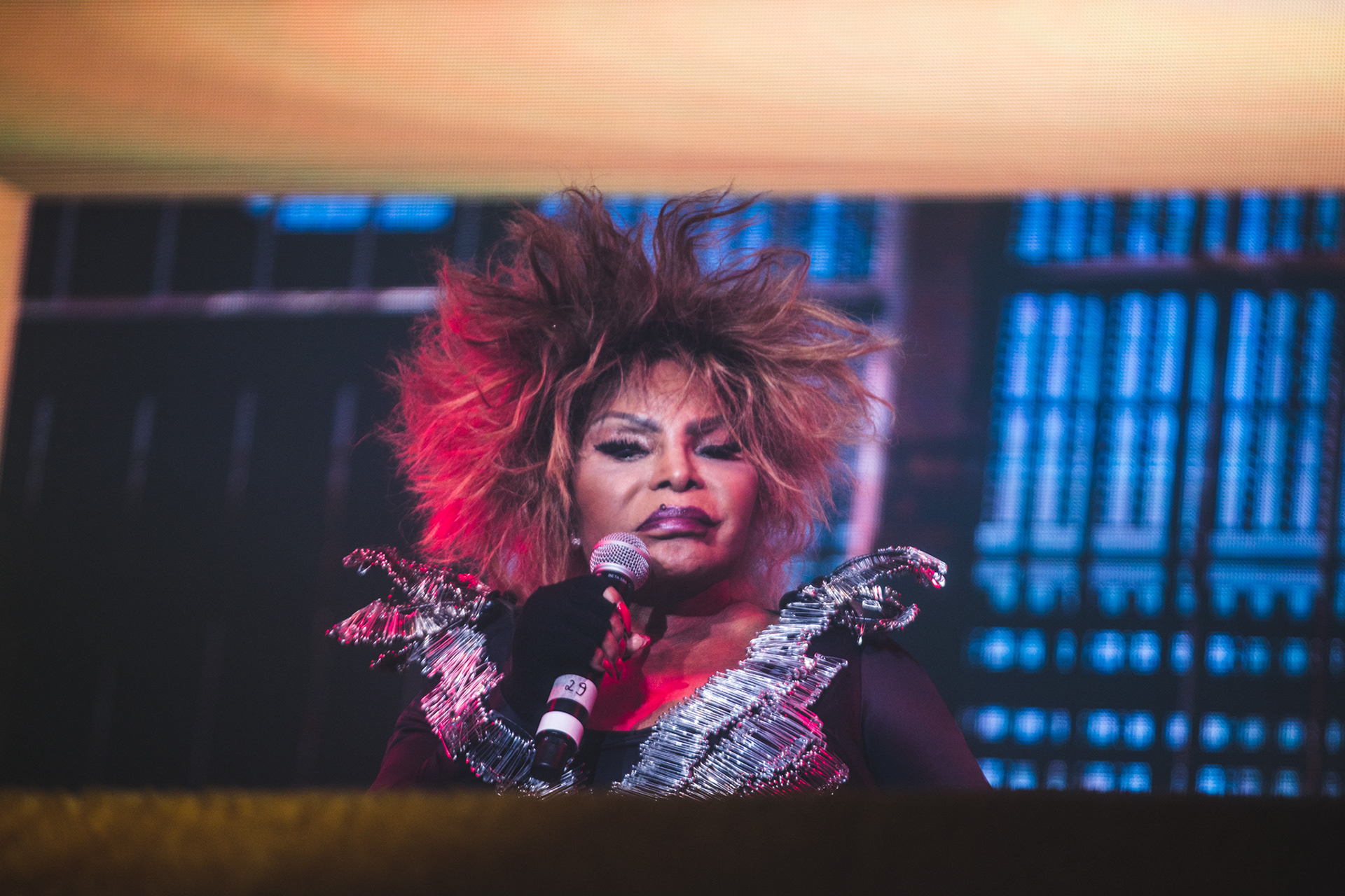 Elza Soares @ Balaclava Fest