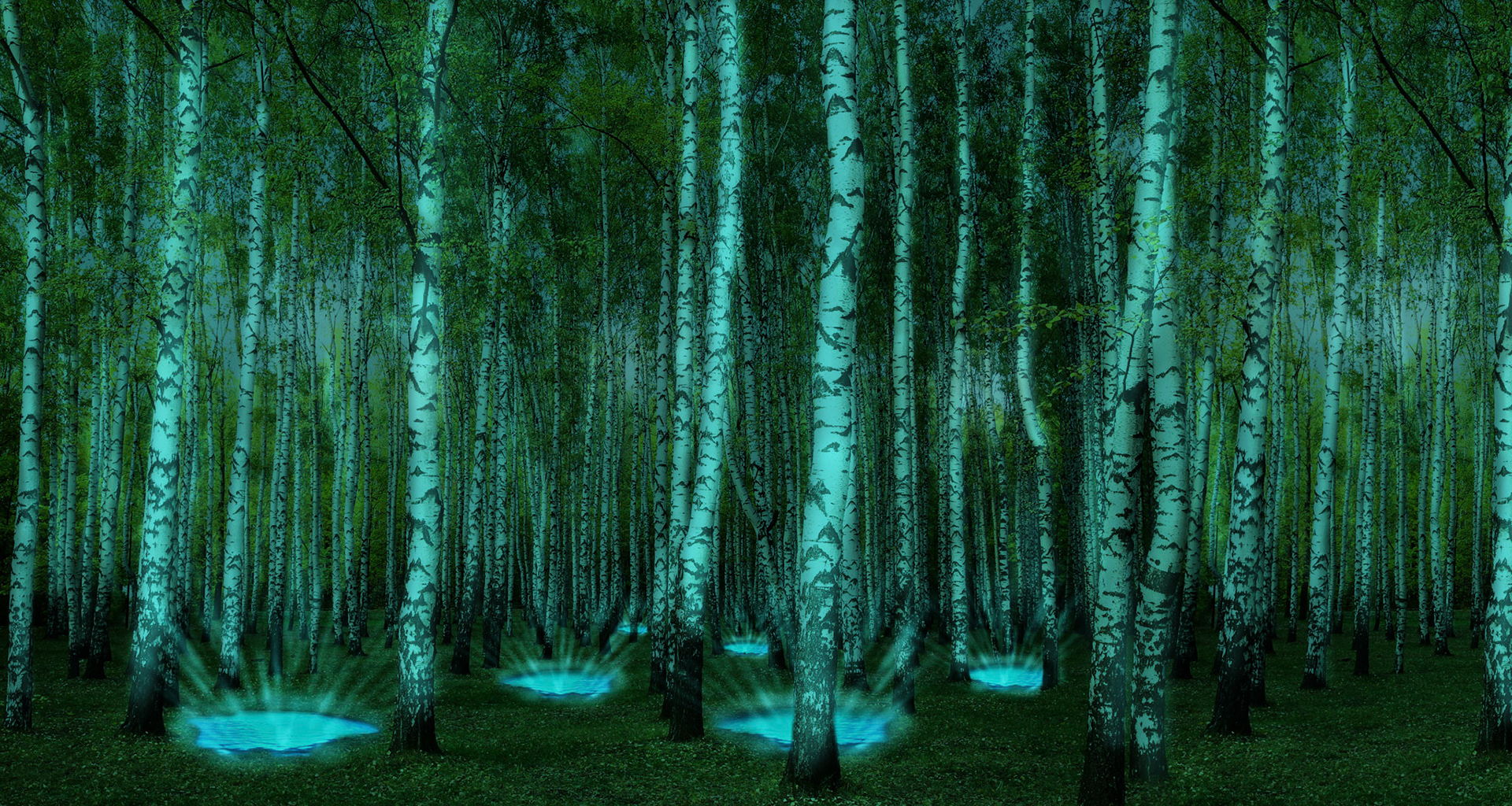 Wood Between the Worlds