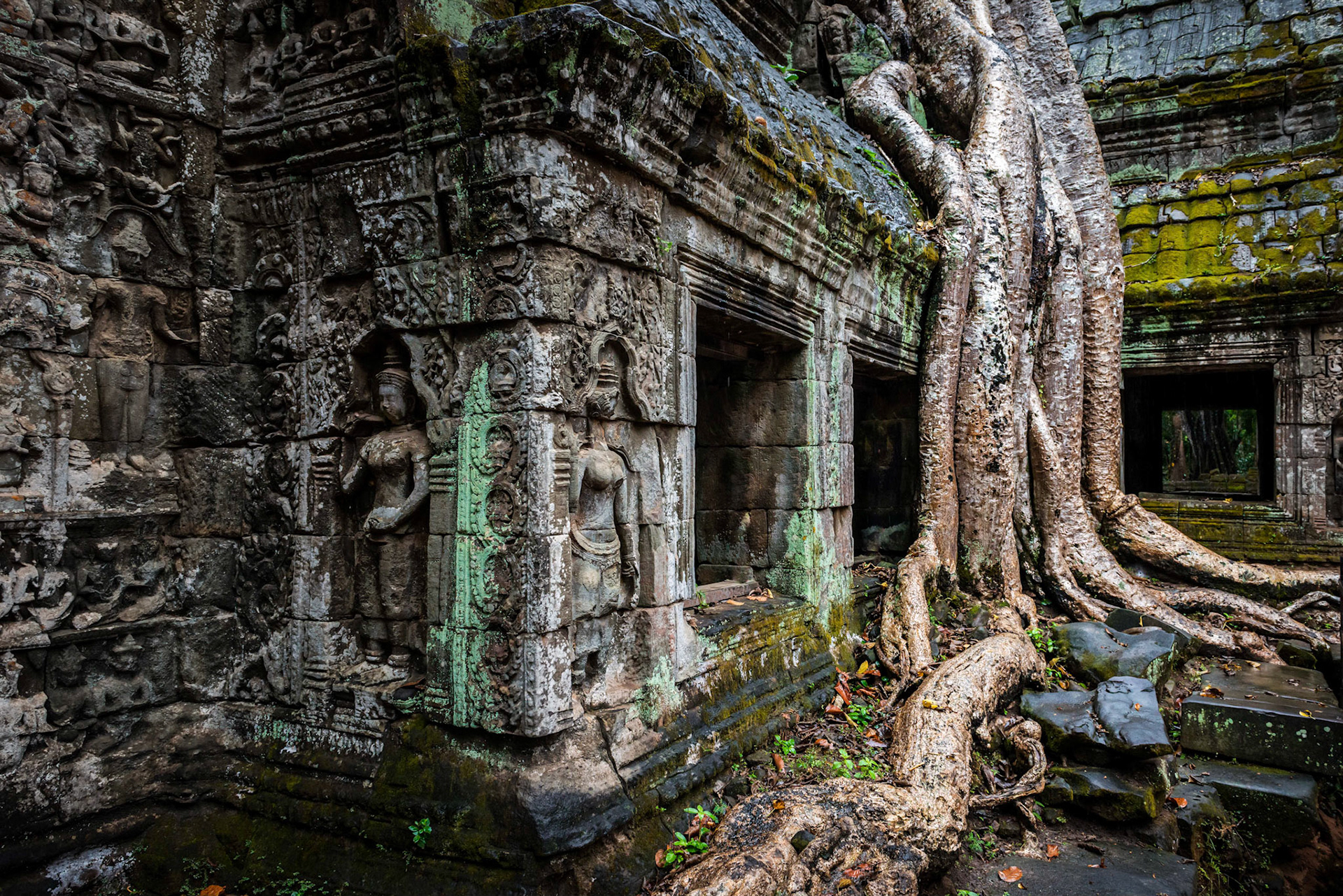 Ta Prohm - Kambodja