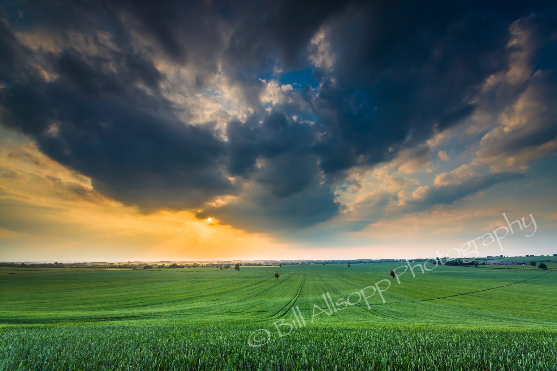 View across a wheatfield as a summer storm rolls in.