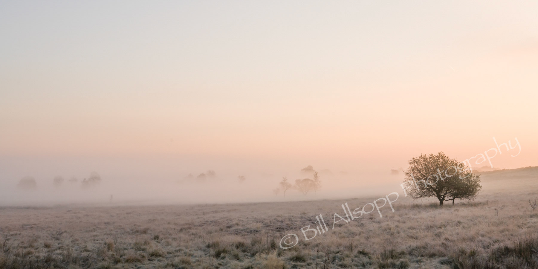 Dawn over Derbyshire moorland.