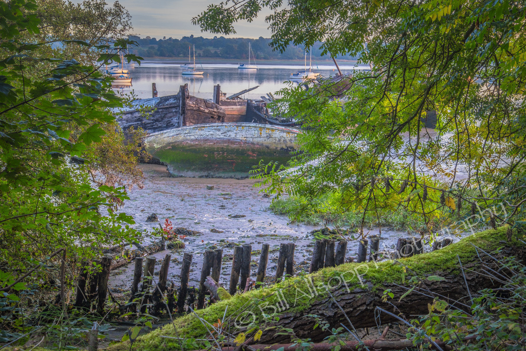 Derelict boats lie on the mud at Pin Mill.