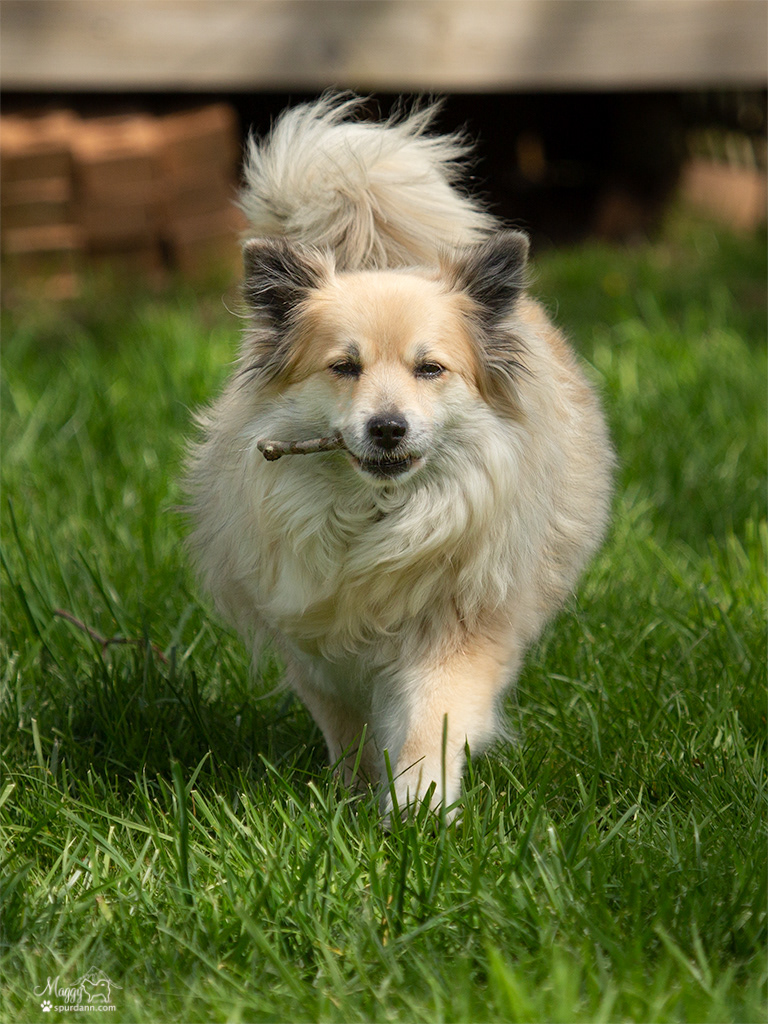 Nella