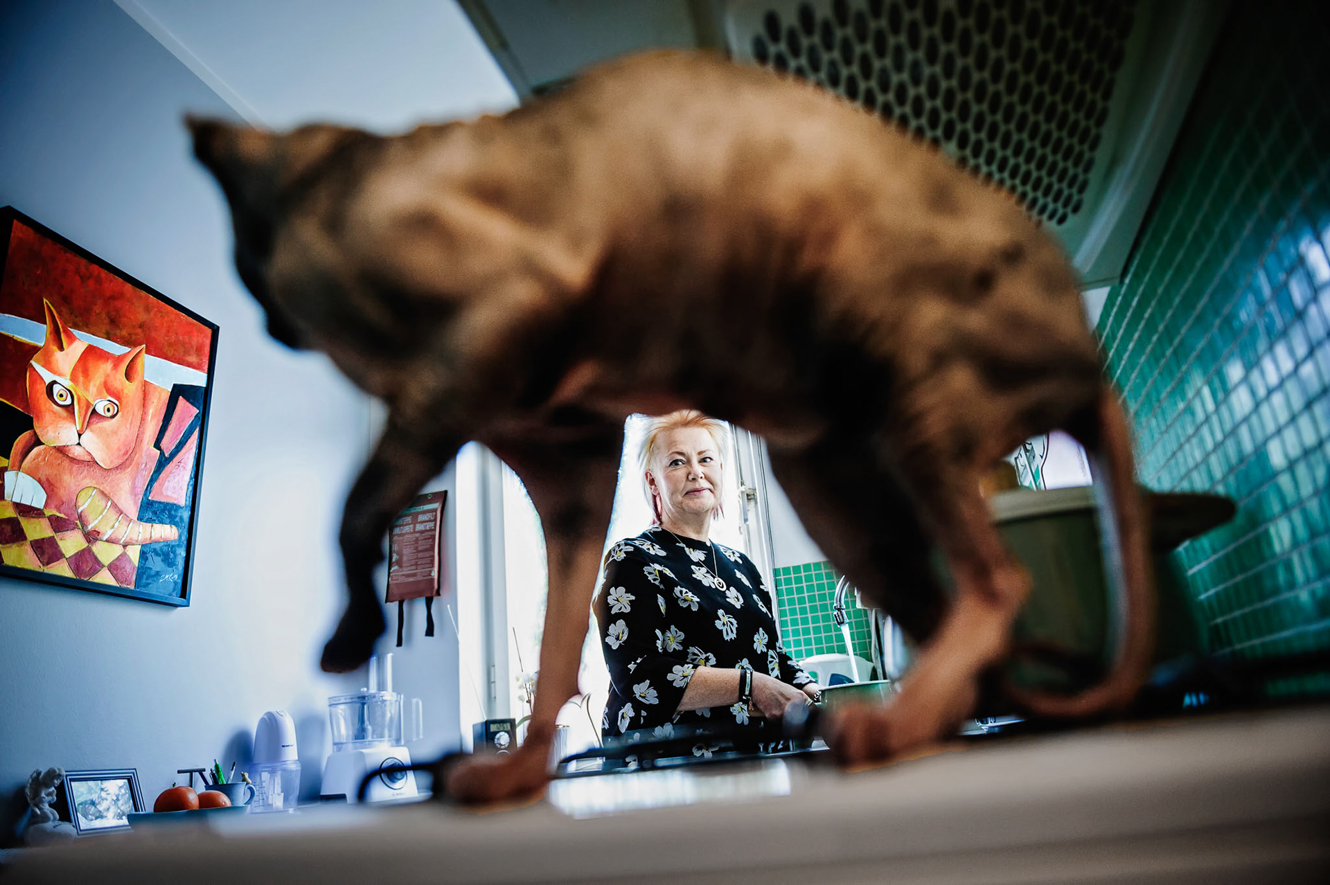 Susanni Lindström, cat lover