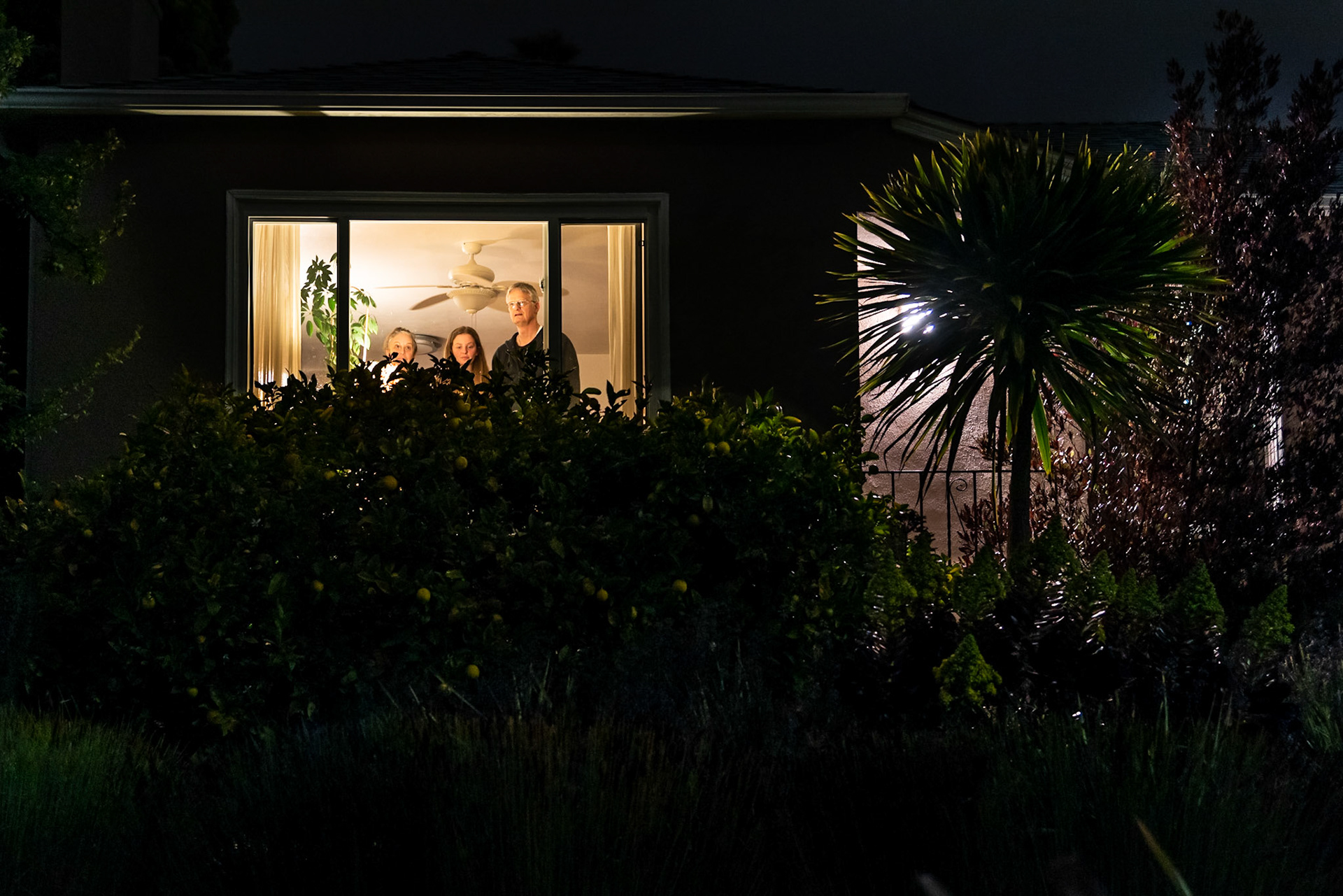 The Sheltering Night #30