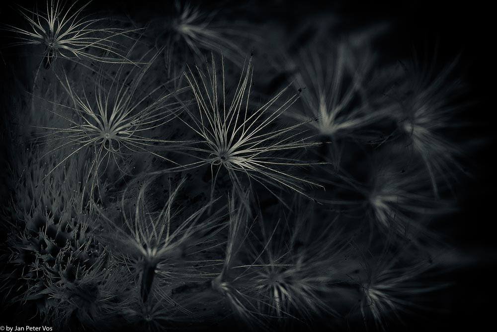 Exploring softly