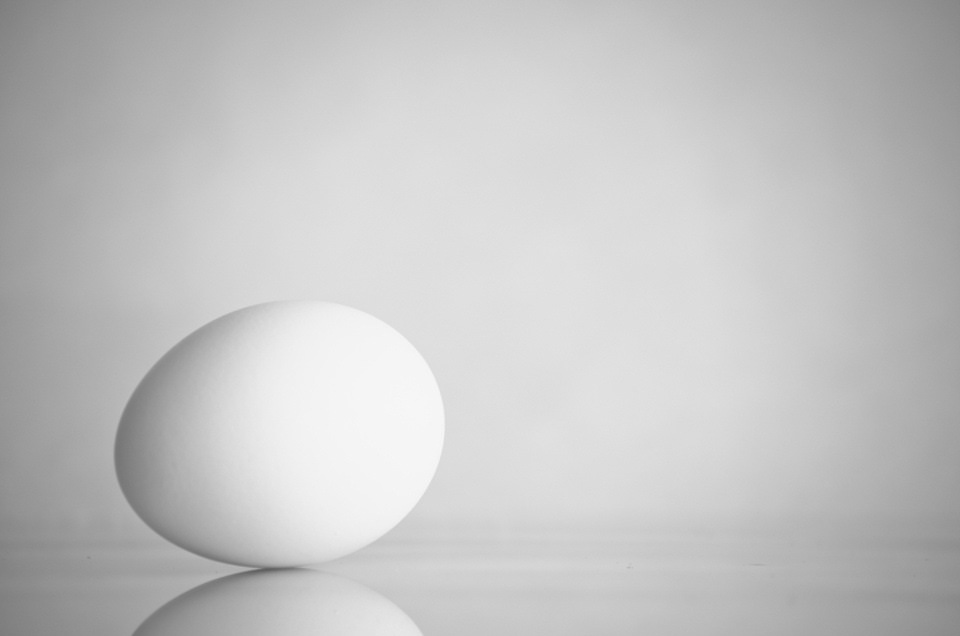 "Eggsistentialism"