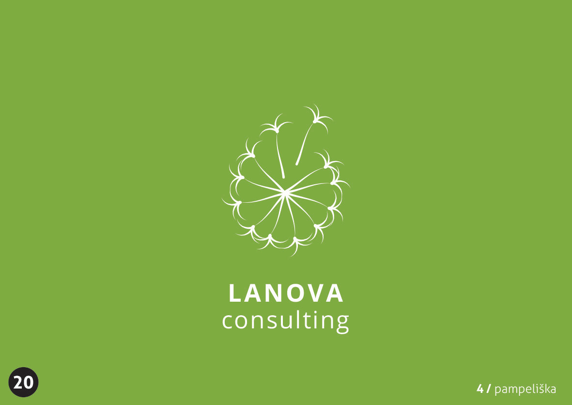 La Nova consulting