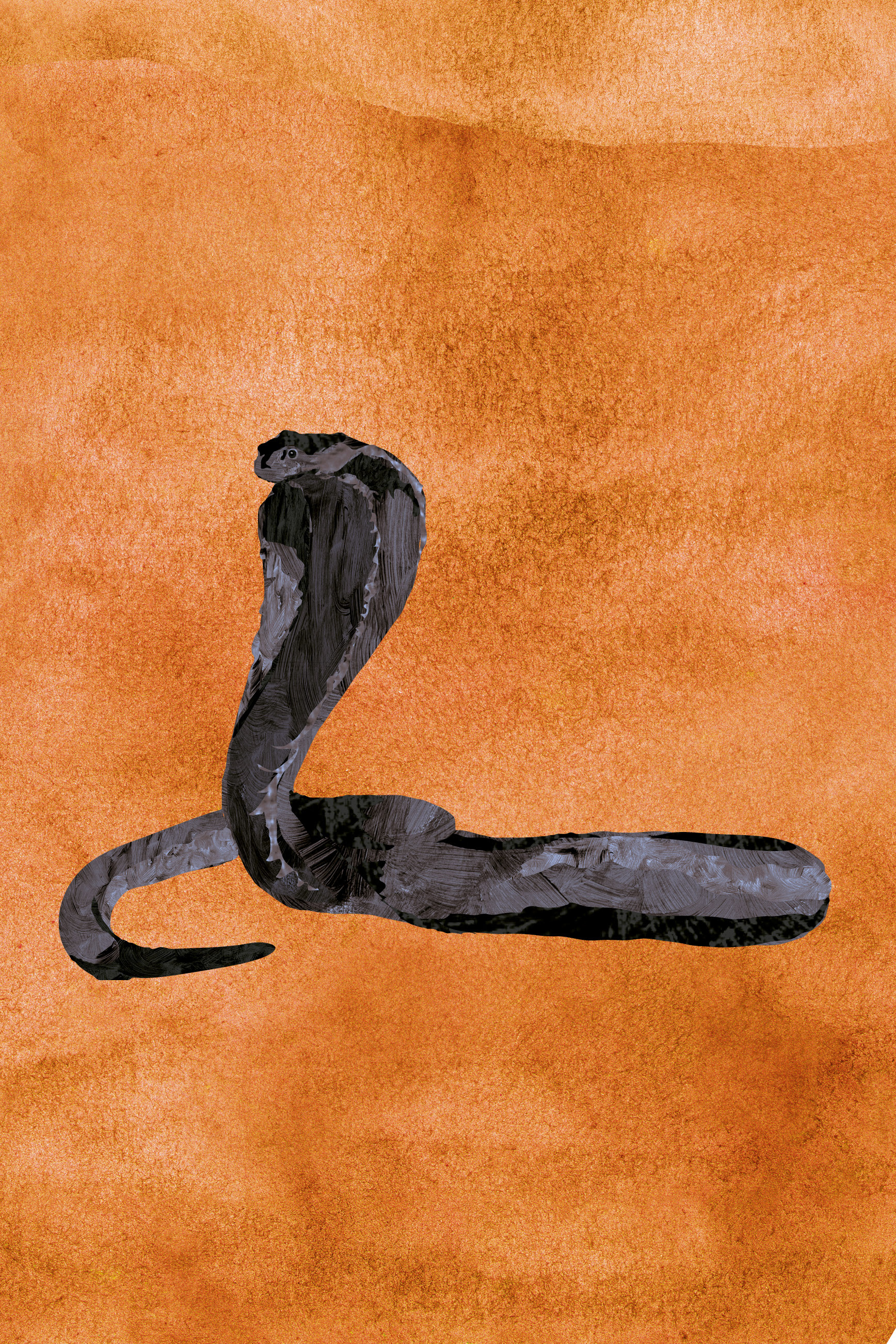 Justyna Styszyńska Illustrations - Sahara desert animals Justyna Styszyńska Illustrations - Sahara desert animals