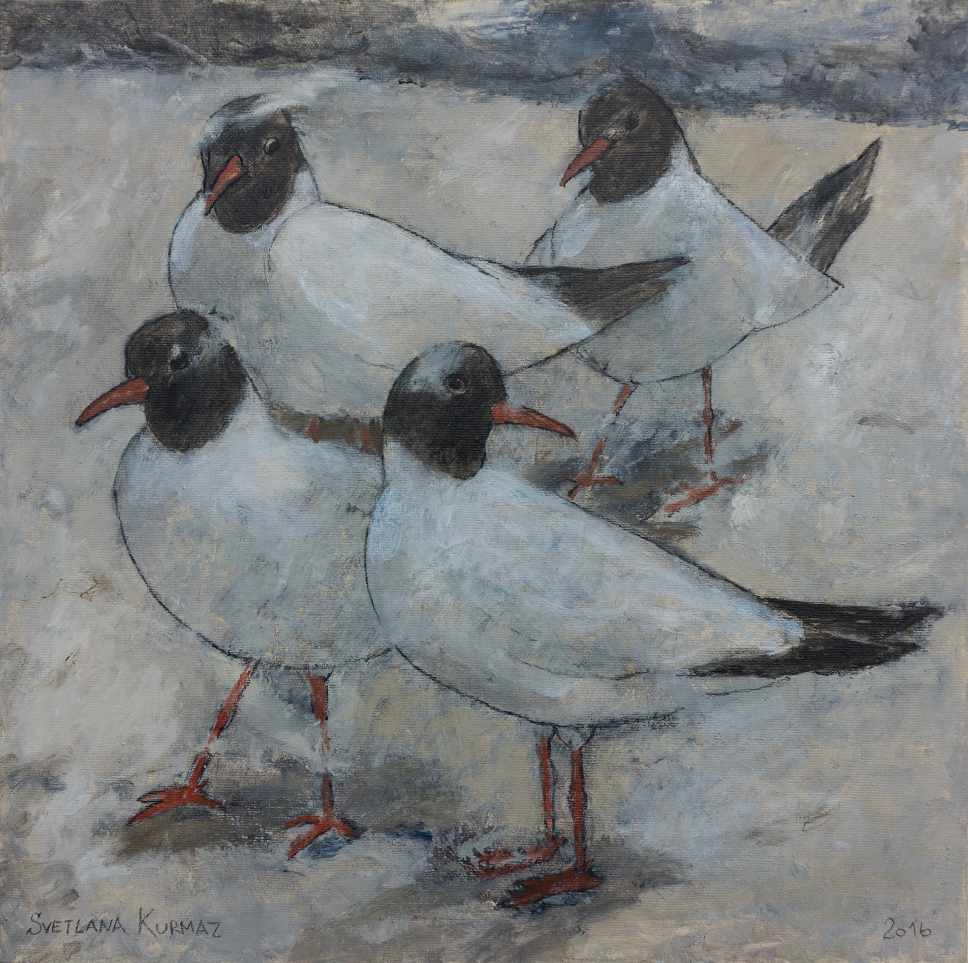 SEA GULLS, oii on canvas, 40x40cm.