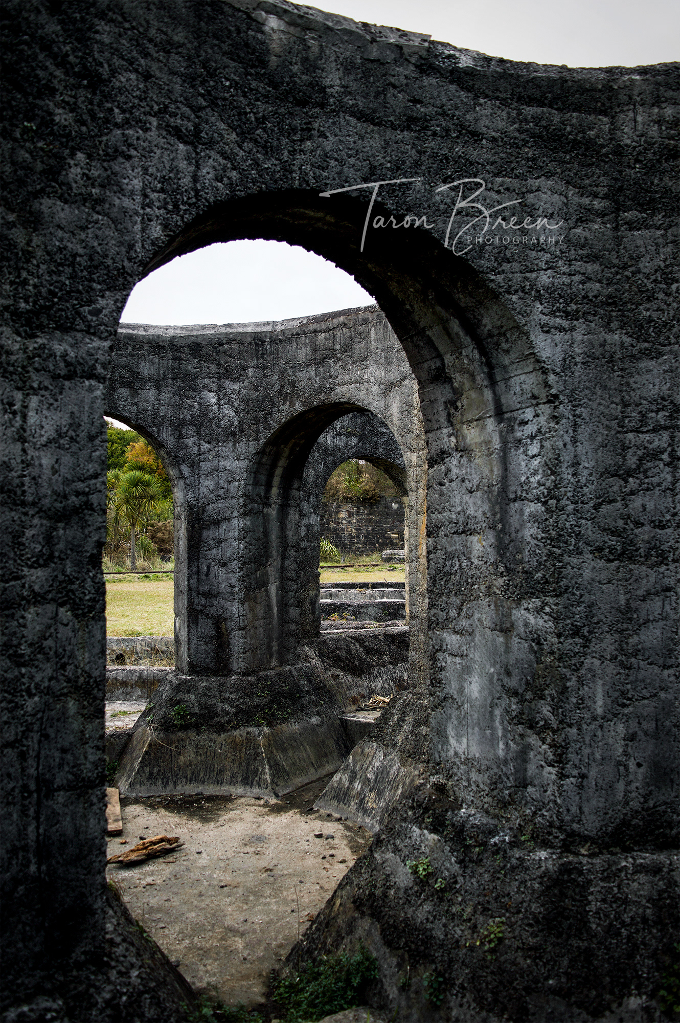 #13 | Victoria Battery Site | Waikino