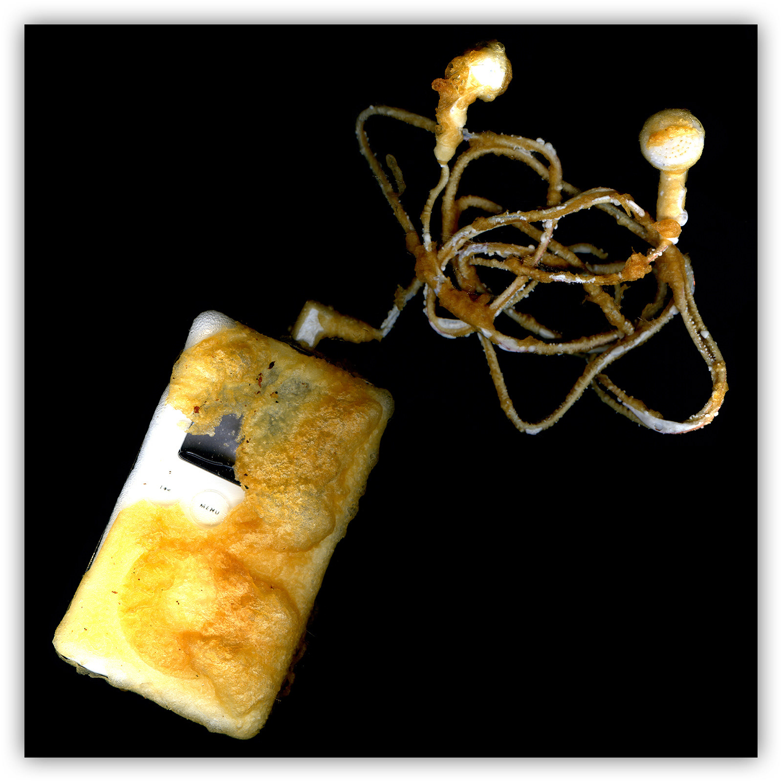 Mirko Credito iPod-Apple-fried-art-Mirko-Credito-Giclée-Print