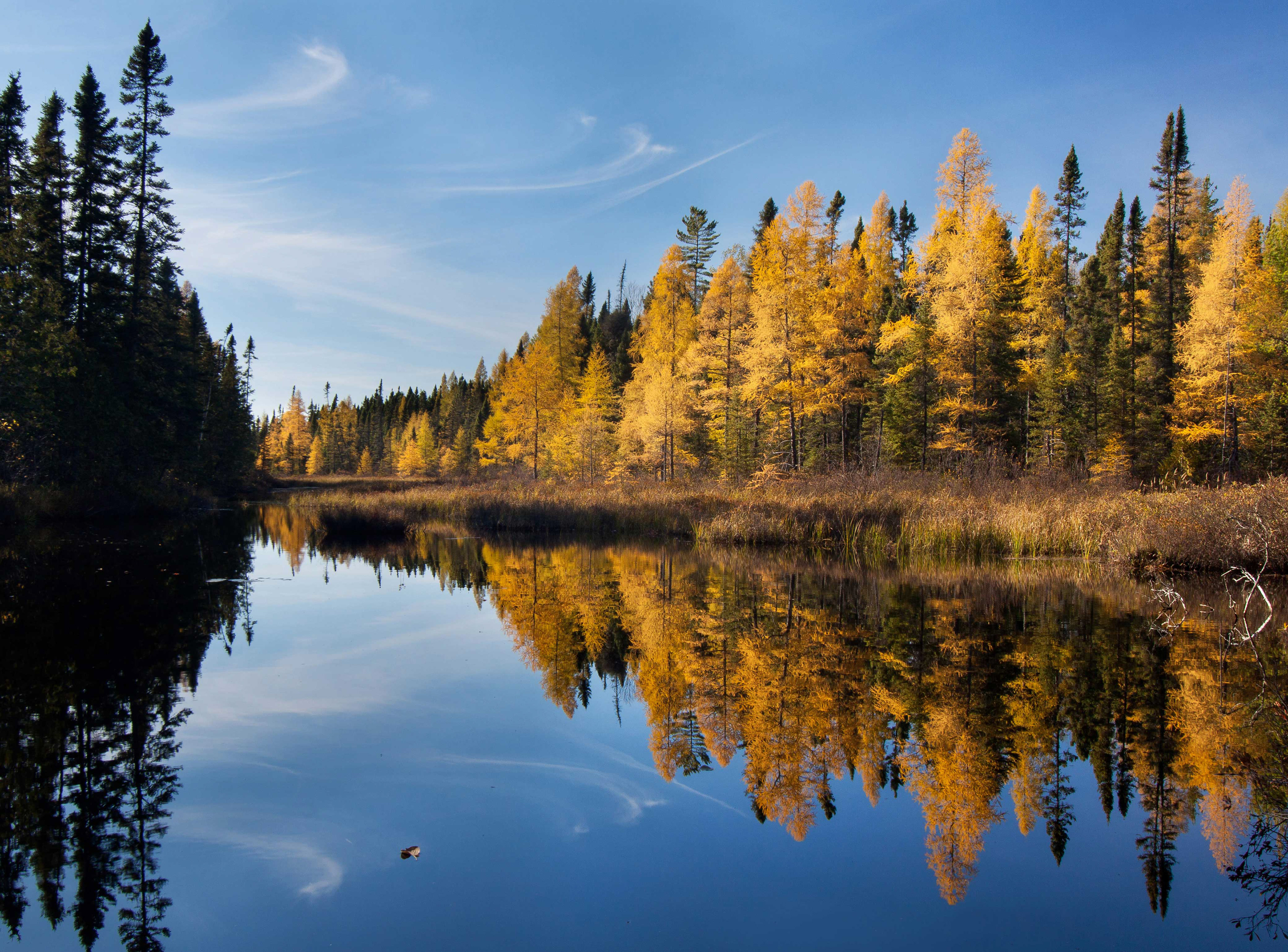 Robert Berlute - Northern Minnesota Landscapes