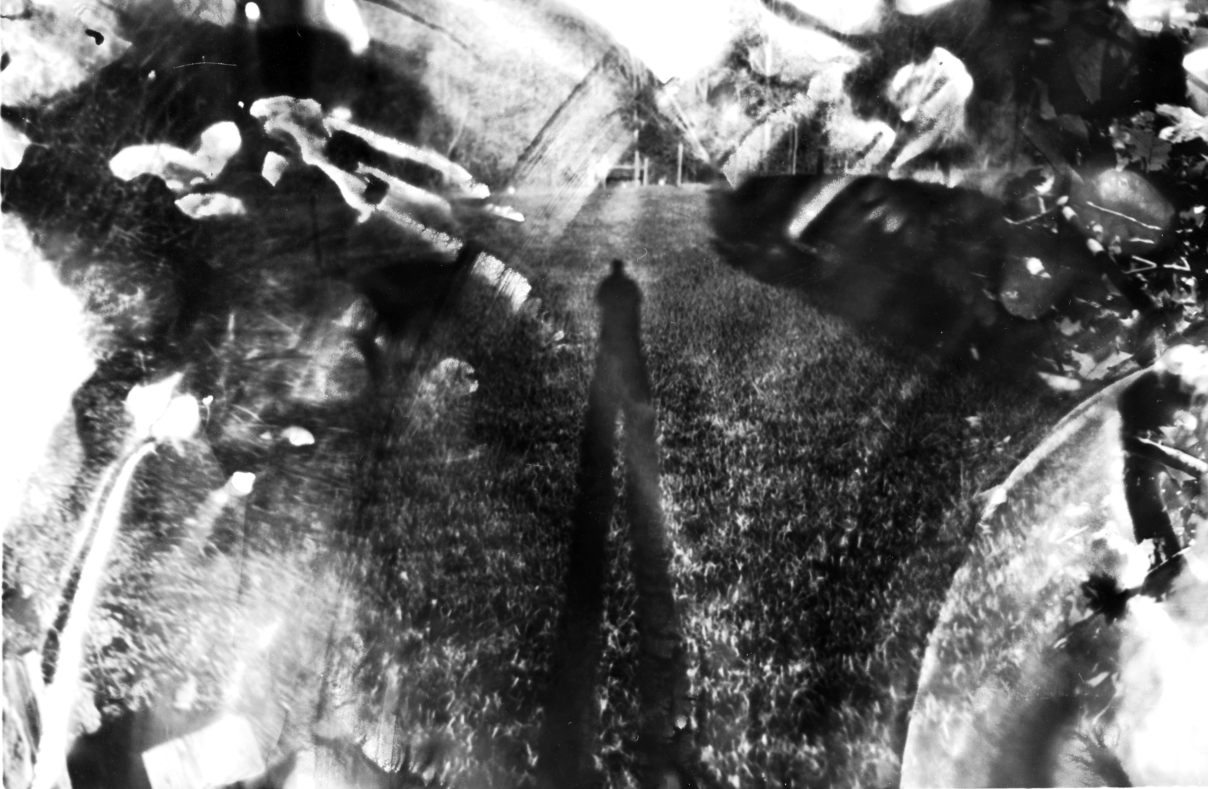 Devin Maroney, Grade 10, Carroll High School. The Shadow's Tale, Photography. Nicole Croy, Educator.