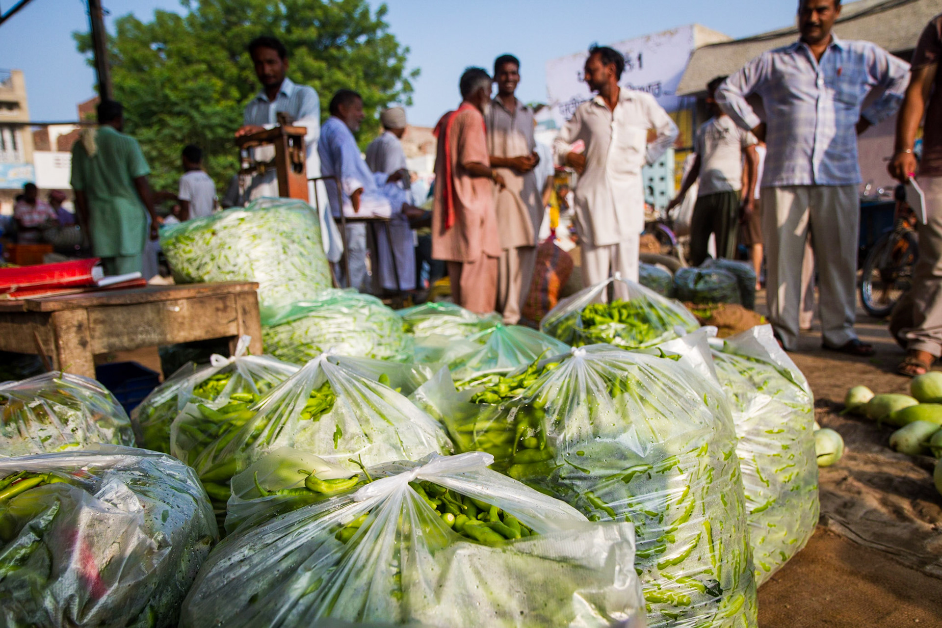 Goniana, Punjab, Indian. Farmers from Mehma Sarja and other villages negotiate on prices for their produce. Taken September 1, 2012.