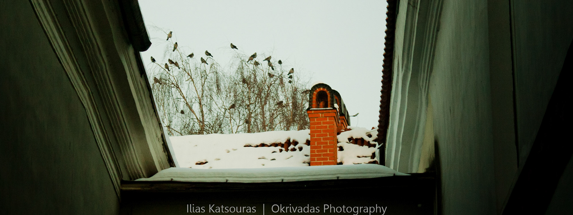 vilnius lithuania lietuva roofs snow crows winter βίλνιους λιθουανία χειμώνας χιόνι