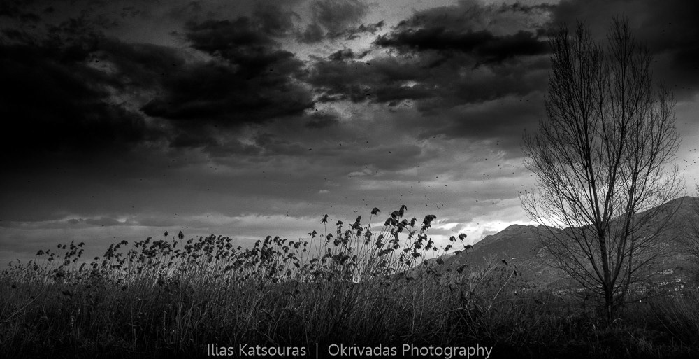 nisaki ioannina gloomy dusk νησάκι ιωάννινα σούρουπο