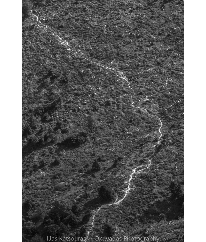 deforestation, parnitha, forest, trees, attiki, αττική, εκχέρσωση, πάρνηθα, δάσος, δέντρα