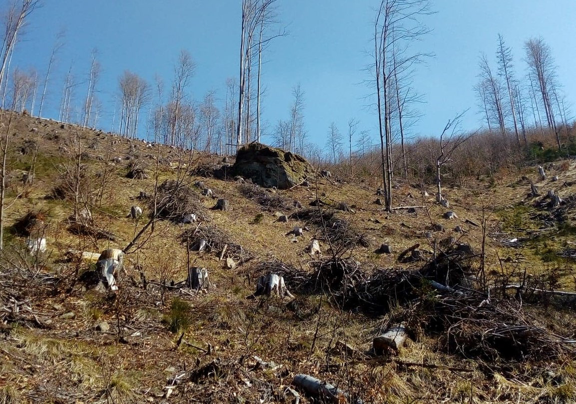 Skalní útvar Jesmrka