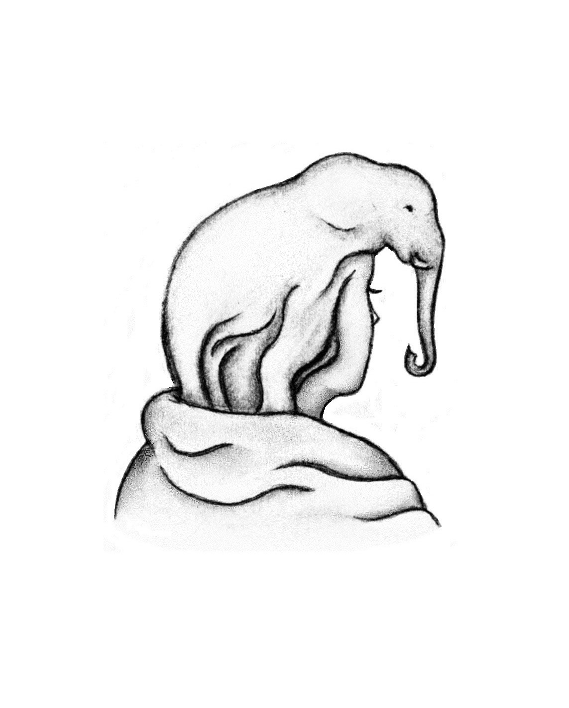 Elephant or Girl