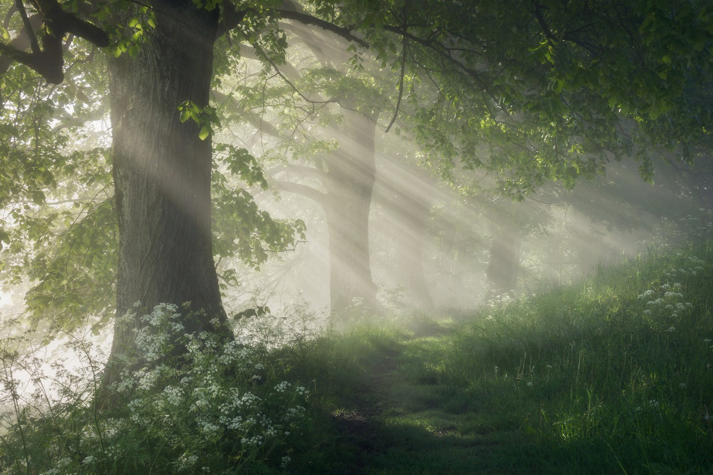 Apparition
