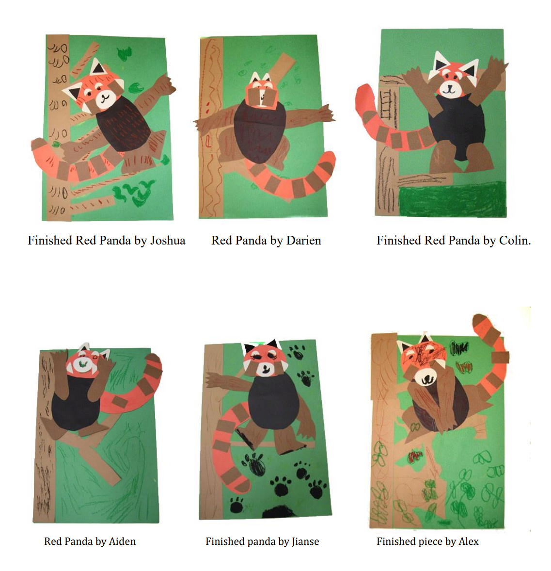 1st Grade Red Panda Lesson 2