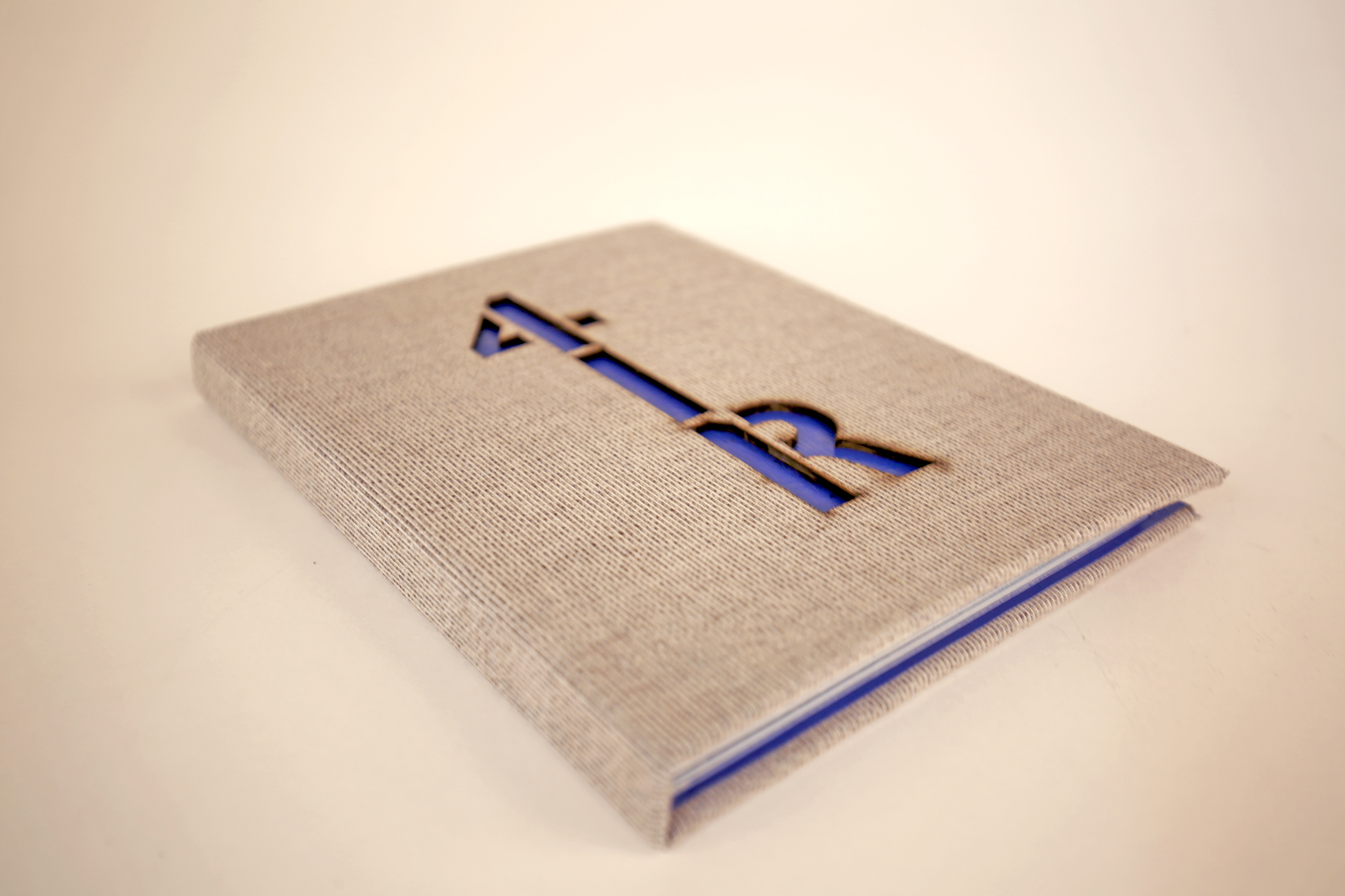 What is a dissertation picture