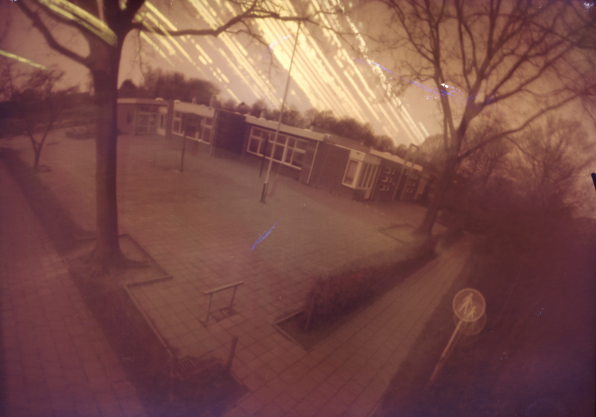 Slow Collective Landscape project solargraphie end result