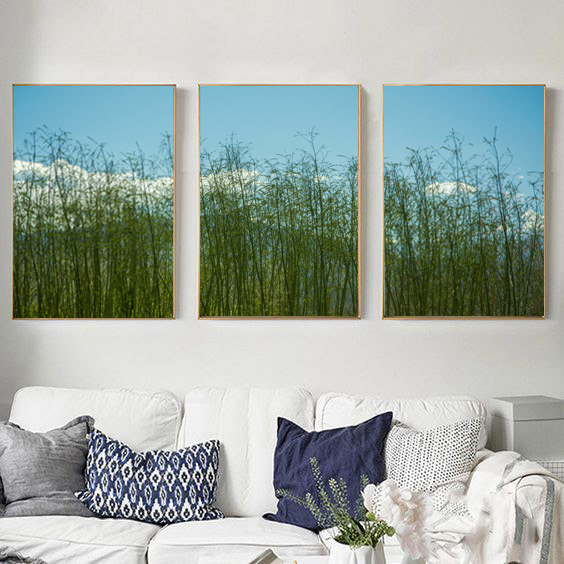 Triptico paisaje