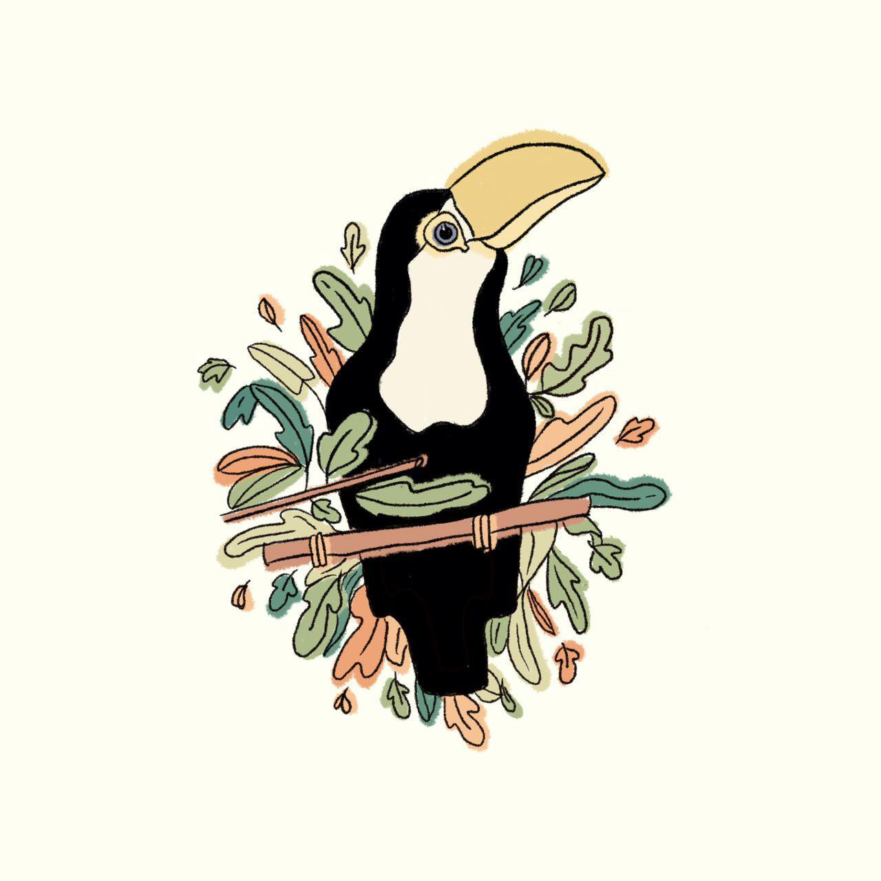 Nika Vizintin Baby Toucan