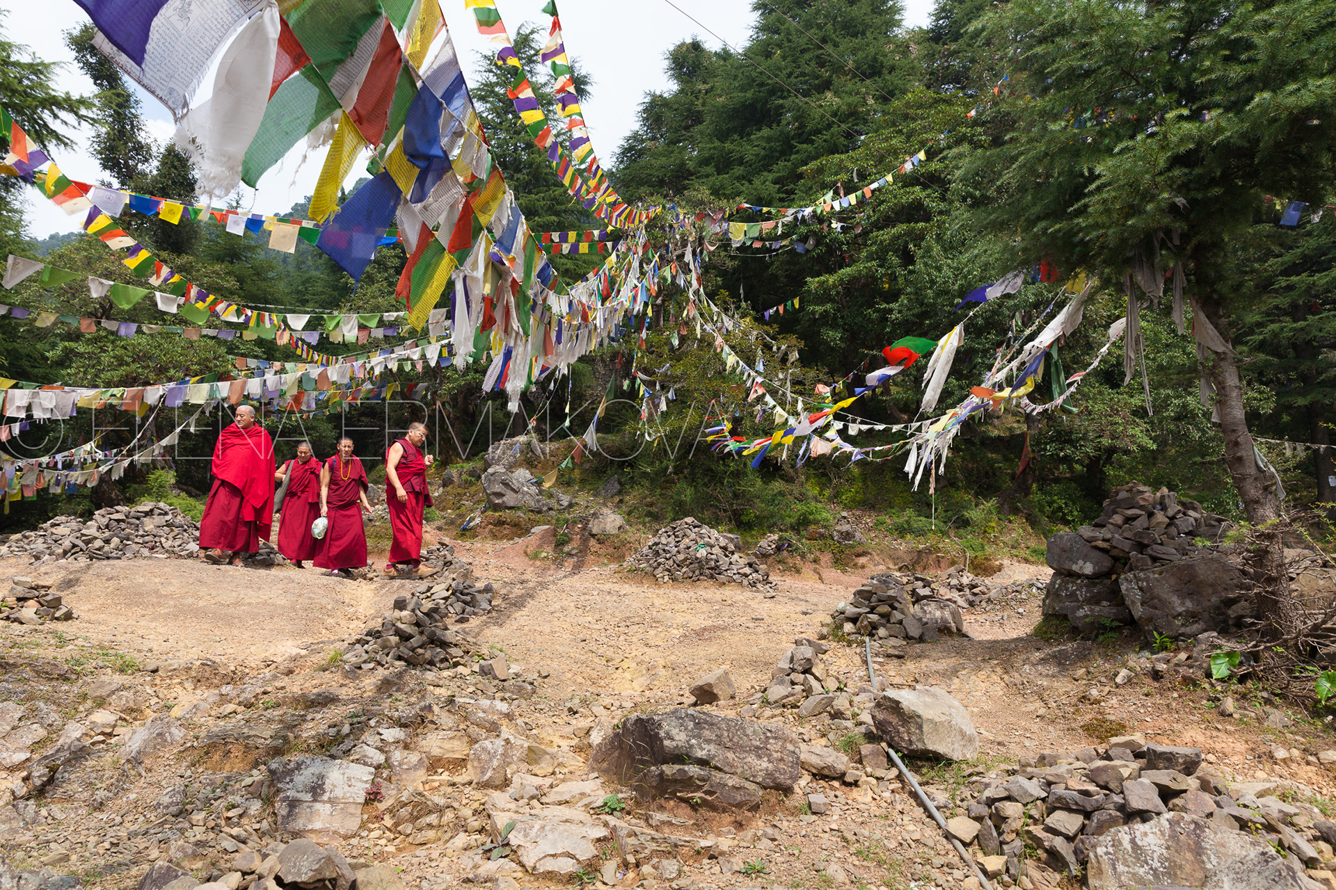 Buddhist monks walking under prayer flags in the mountains near McLeod Ganj town, Dharamsala, India