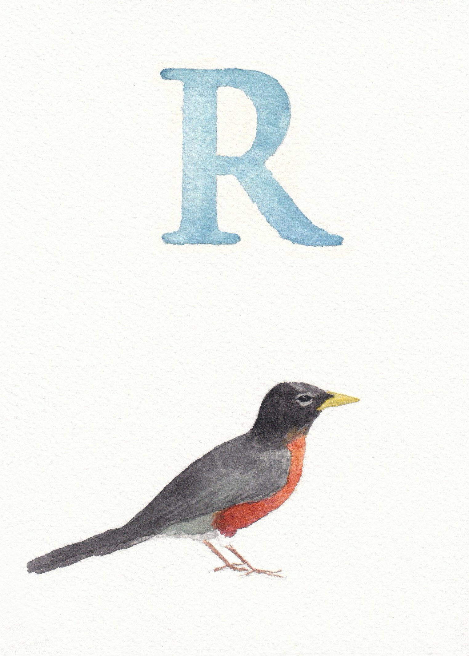 R is for Robin