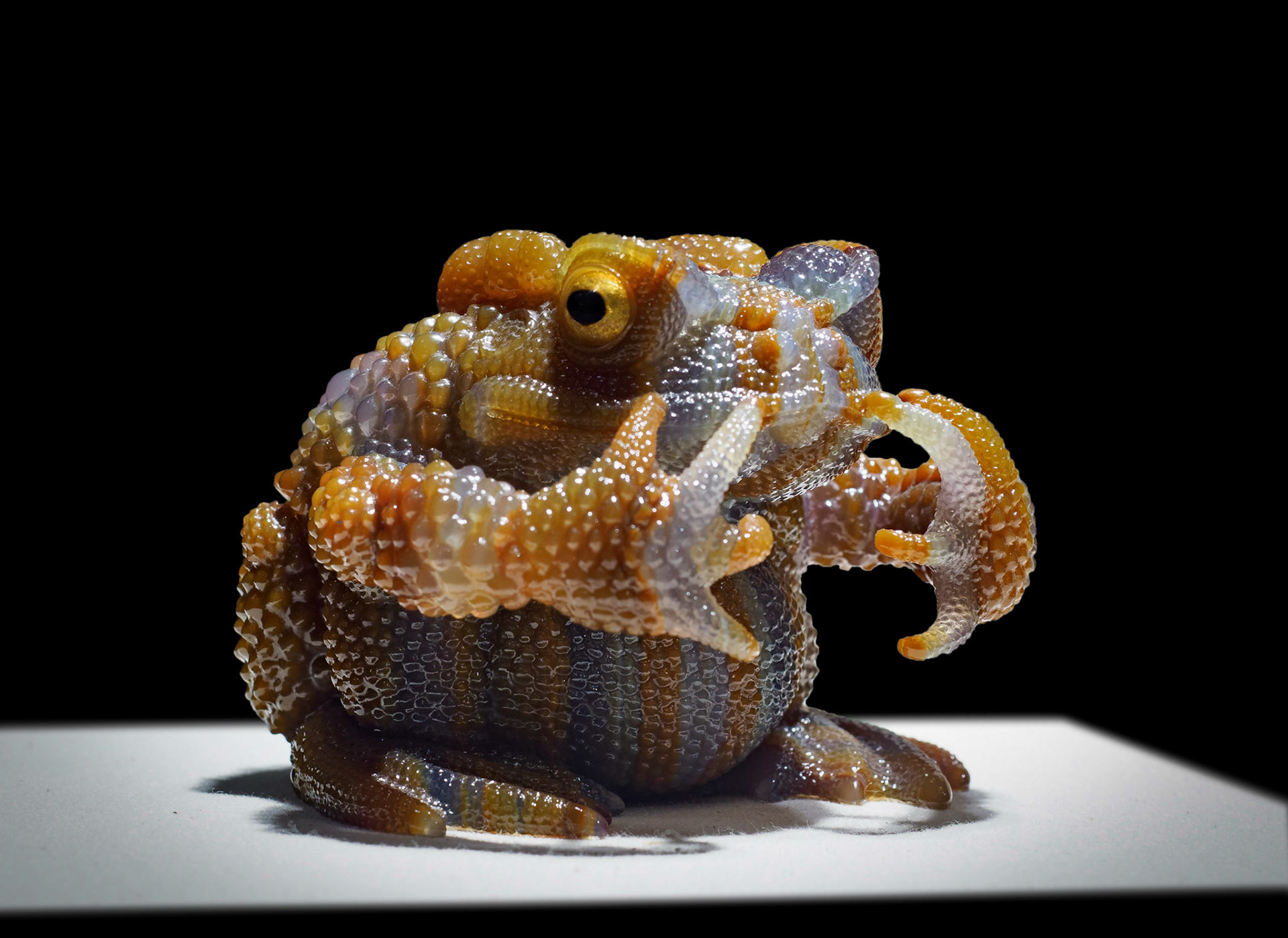 Agate - Minas Gerais, Brazil - Following in his father's footstep, this toad was carved by Patrick Dreher.