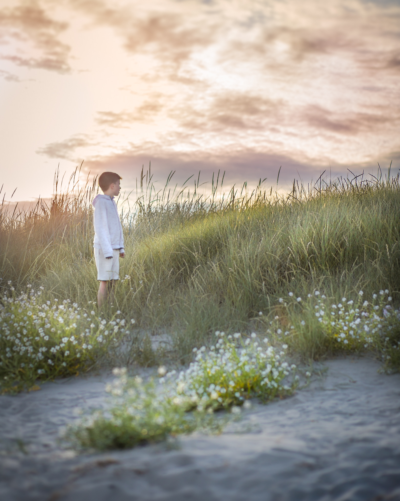 Soft colours of Ireland
