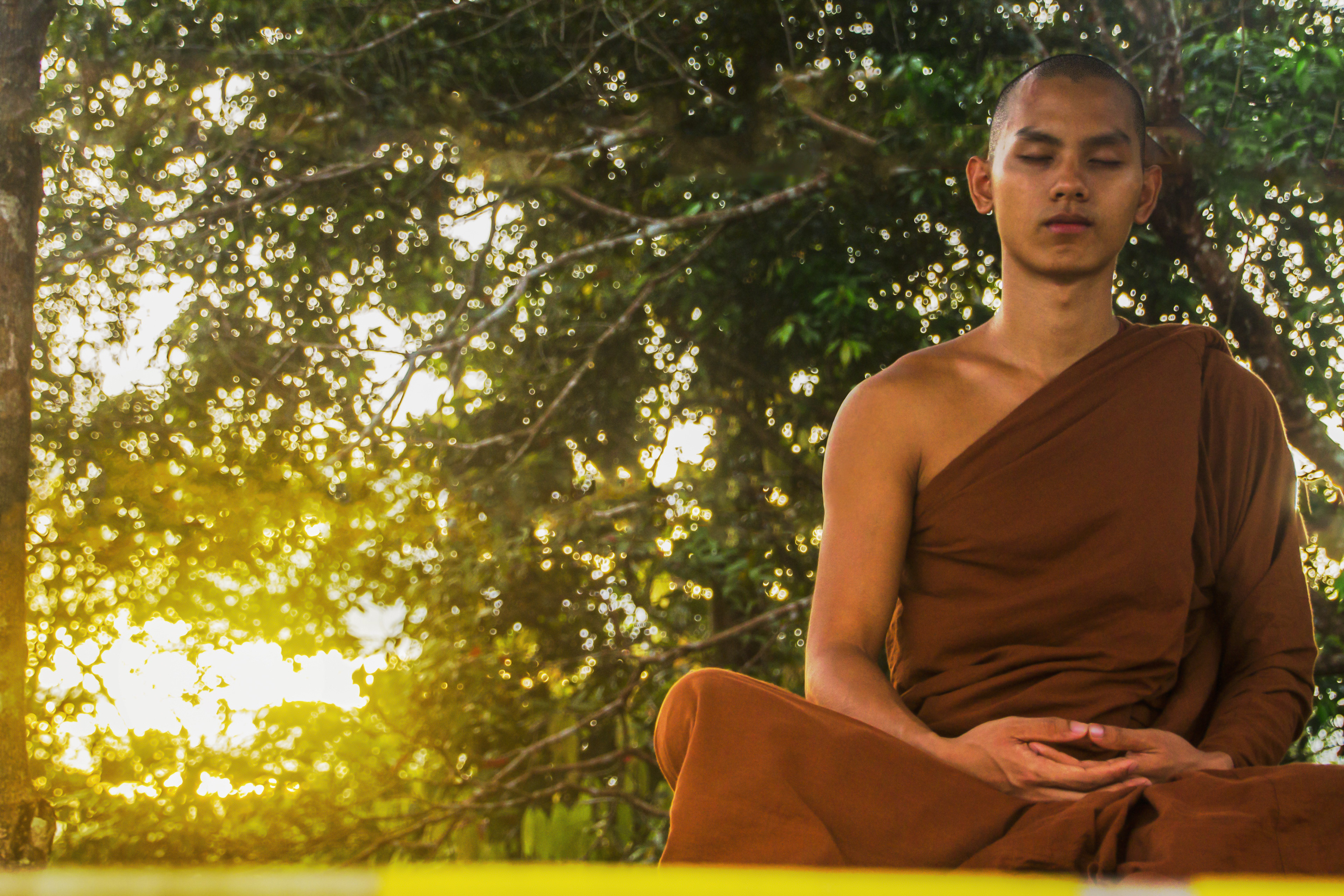 Monk photo I used for the cover collage