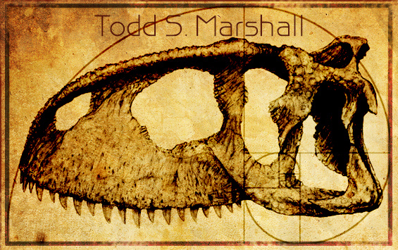 Todd Marshall