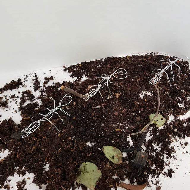 "Ants" | 3" x .5" x .5" | Wire, wood, and dirt