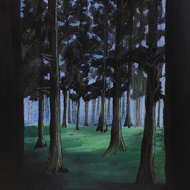 "Whisper of the Trees" | 9" x 12" | Colored pencil | This piece shows depth almost as if to invite the audience into the forest itself. The further back into the forest, the more focus is lost, to invoke a sense of wonder. This piece was made to pull the audience in and keep them searching for what is beyond the trees.