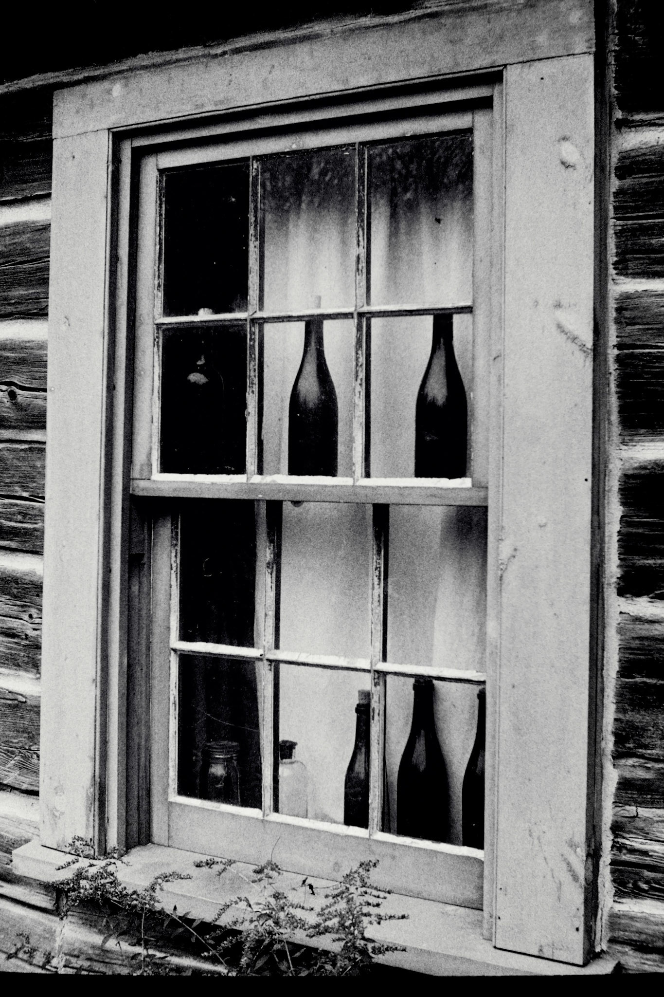 Bottles on the window